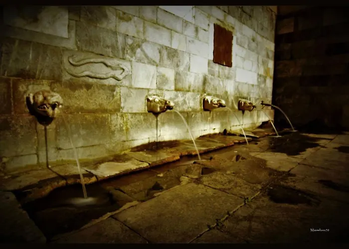 Arcipelago Toscano Bed and Breakfast Πιομπίνο